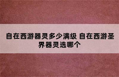 自在西游器灵多少满级 自在西游圣界器灵选哪个